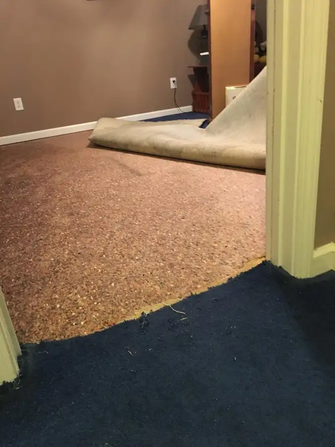 Carpet pad removal revealing water damage during Water Mitigation Services in Vadnais Heights