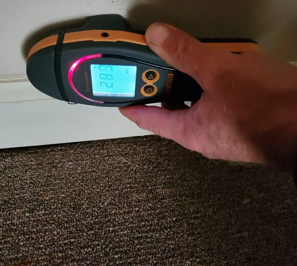 Moisture detection at baseboard during Sewage Cleanup & Sanitation in Vadnais Heights